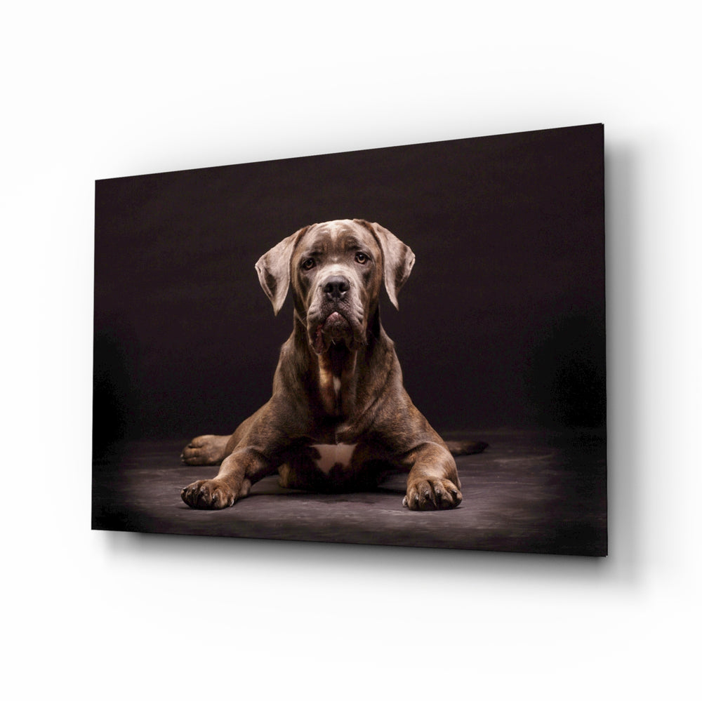Dog glass wall art displayed above a console in a designer interior