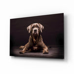 Dog glass wall art displayed above a console in a designer interior