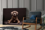 Dog glass print enhancing a hallway with steady gaze