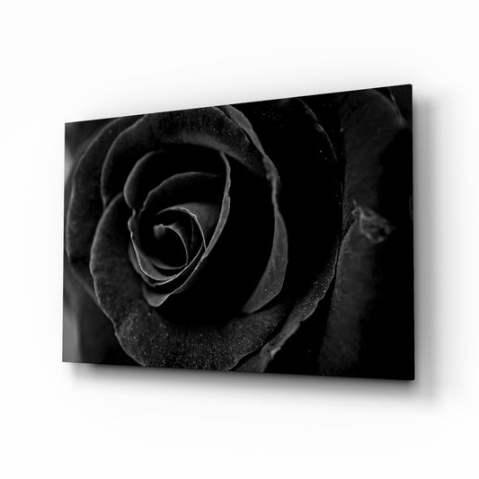 Black Rose glass wall art displayed above a console in a designer interior