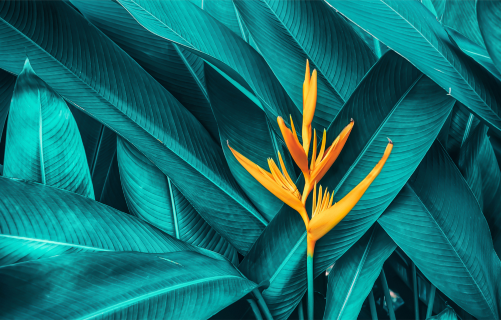 Tropical Leaf 3 Glass Wall Arts