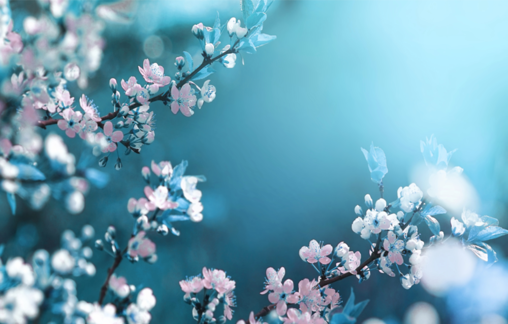 Spring Flowers Glass Wall Art