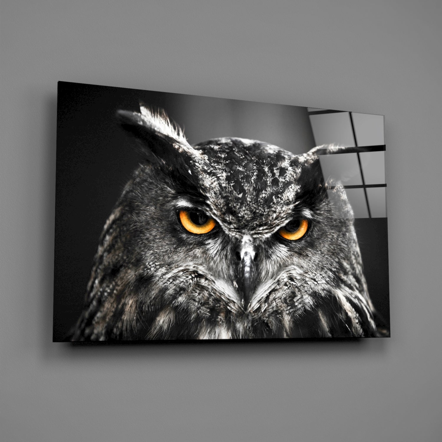 Owl Glass Wall Art.