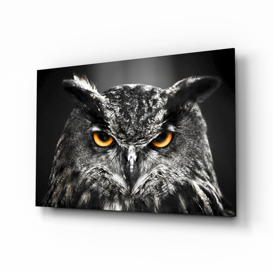 Owl glass wall art displayed above a console in a designer interior