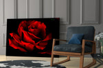 Red Rose glass print enhancing a lounge with statement color