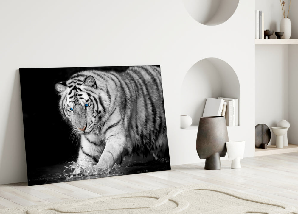 Tiger of the Bengal panel adding quiet authority to a study