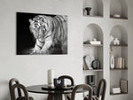 Tiger of the Bengal glass wall art styled above a sofa in a statement living room