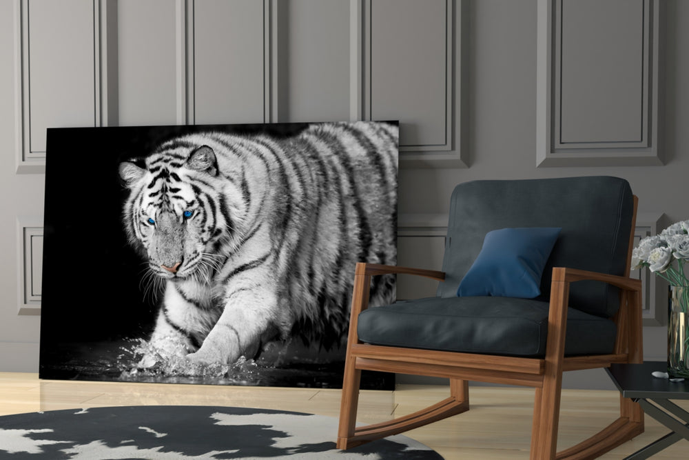 Tiger of the Bengal glass print enhancing a hallway with sentinel pulse
