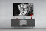 Tiger of the Bengal artwork anchoring a library with monochrome palette