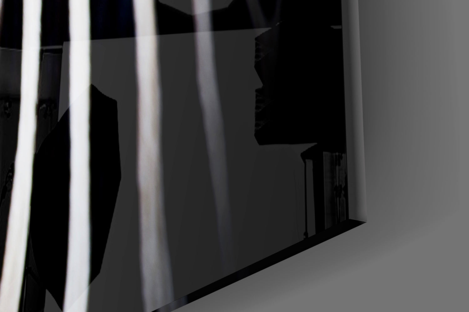 Zebra Glass Wall Art.