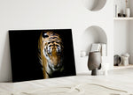 Close-up detail of the tiger's amber coat and black stripes