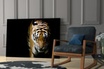 Tiger glass print enhancing a hallway with sentinel gaze