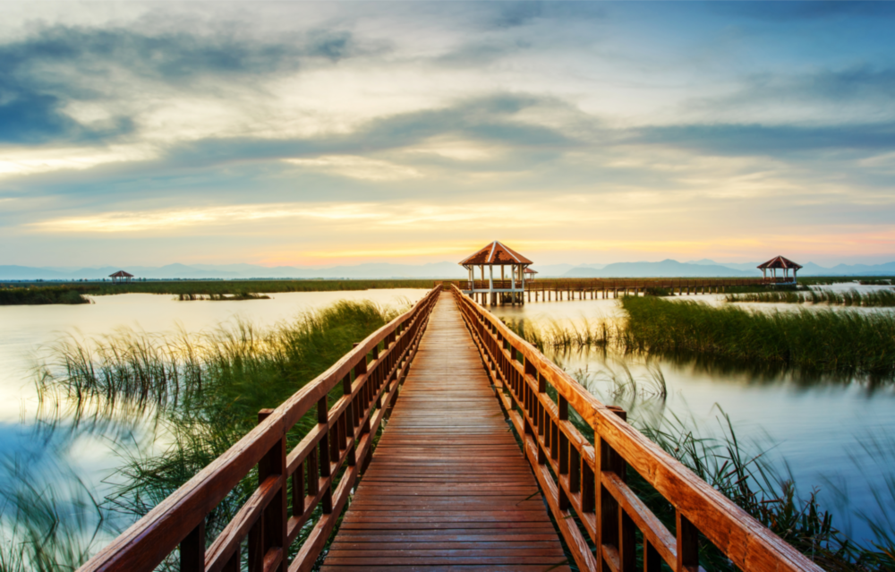 Long Dock on the Lake Glass Wall Art