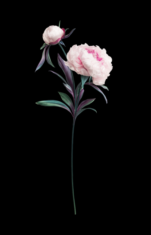 Flower Glass Wall Art