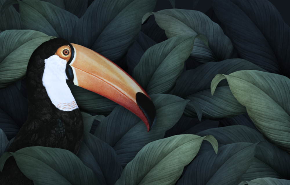 Toucan Parrot Glass Wall Art