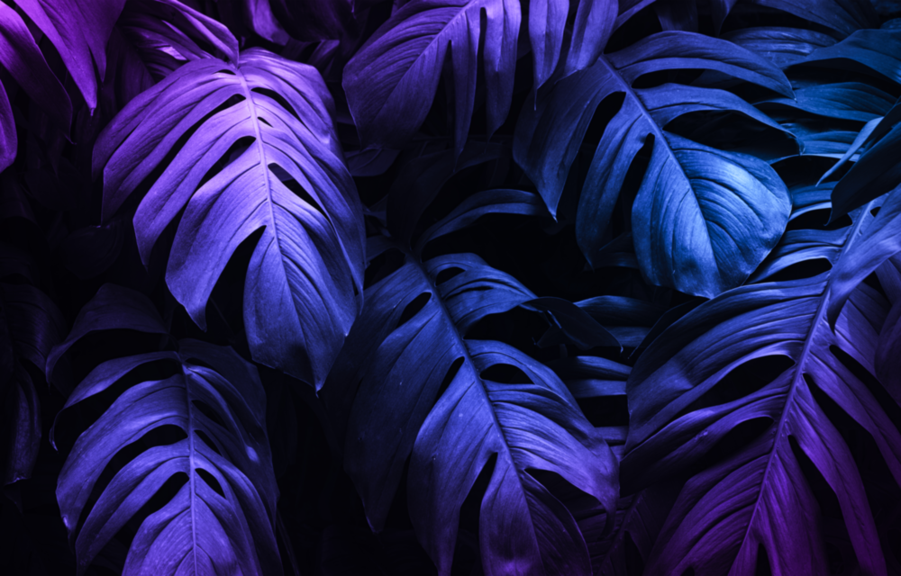 Tropical Leaf Glass Wall Art