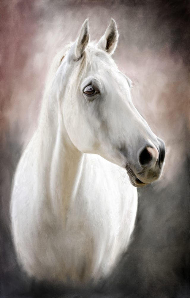 Horse Glass Wall Art