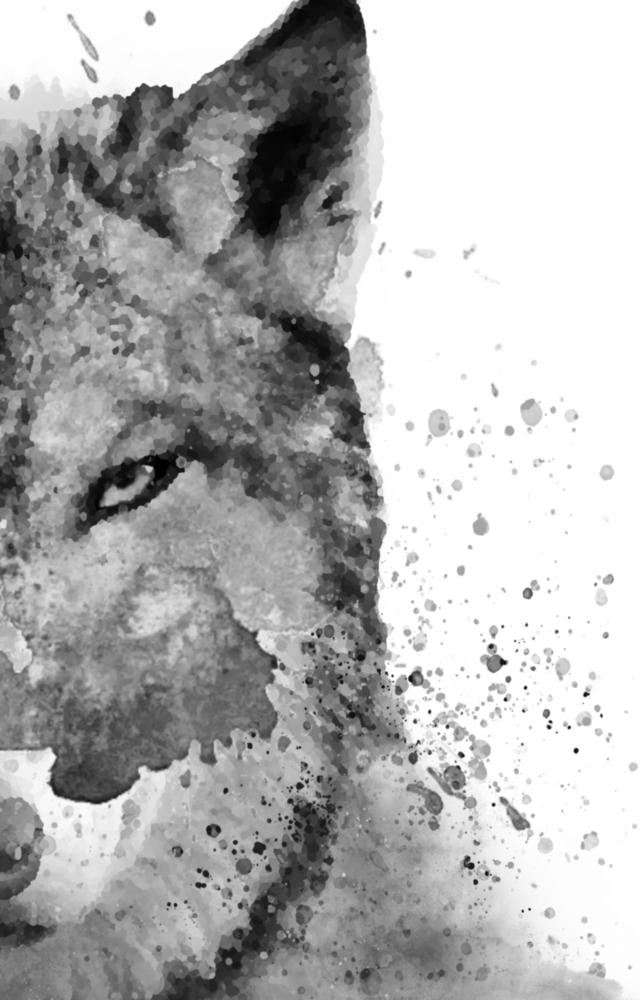 Wolf Glass Wall Art