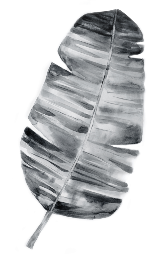 Feather Glass Wall Art