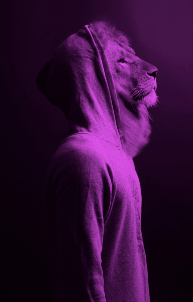Purple Lion Head Glass Wall Art