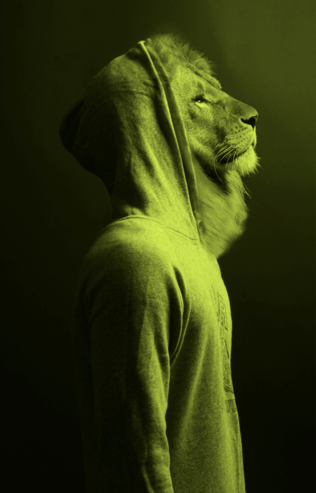 Green Lion Head Glass Wall Art