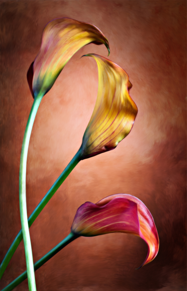 Tulips Glass Wall Art