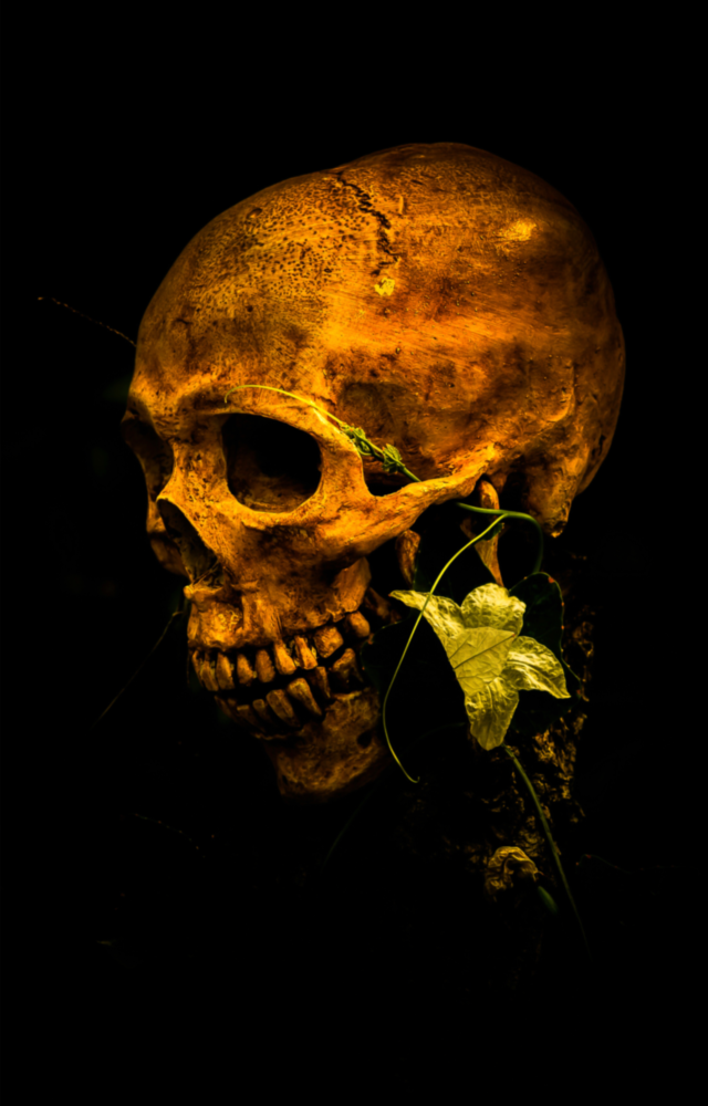 Flower and Skull Glass Wall Art