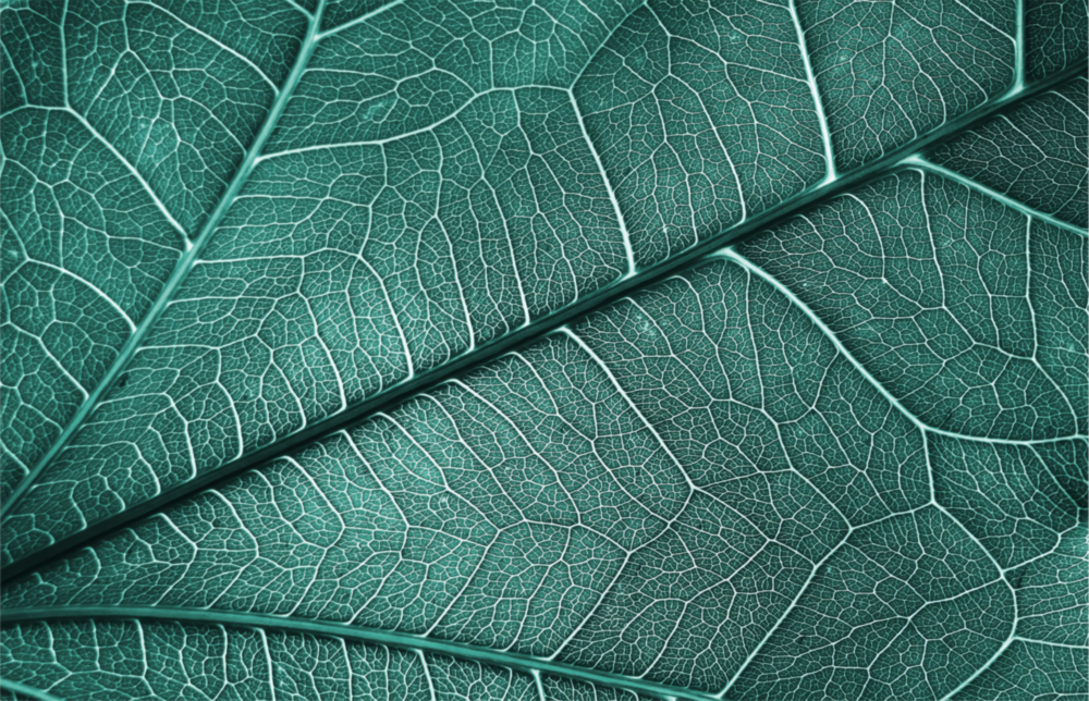 Leaf Texture Glass Wall Art