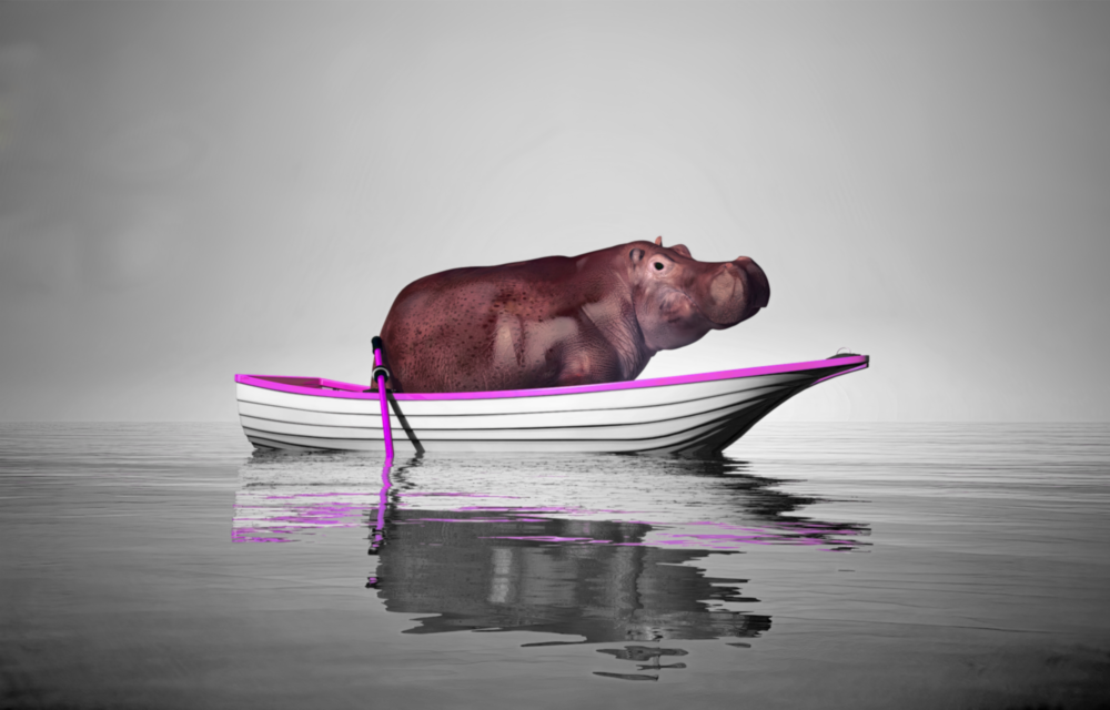 Hippo Glass Wall Art