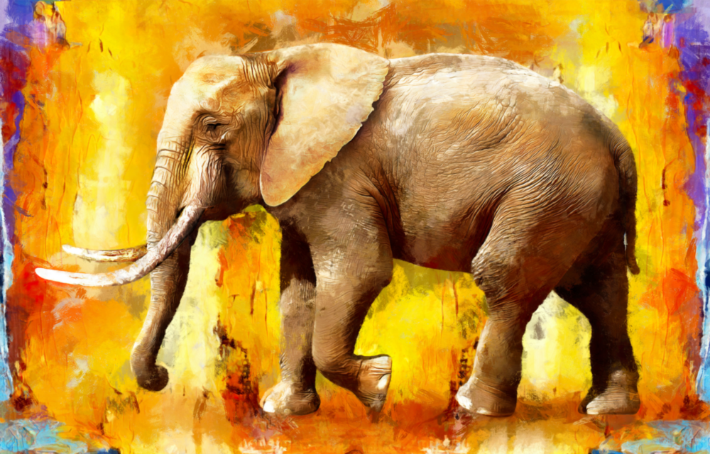 Elephant Glass Wall Art