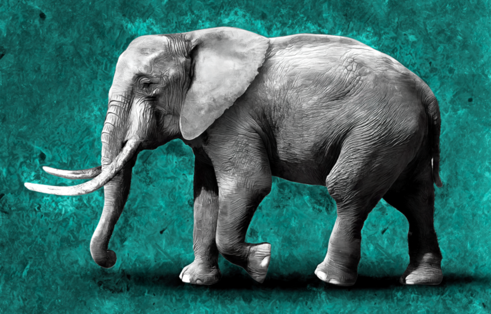 Elephant Glass Wall Art