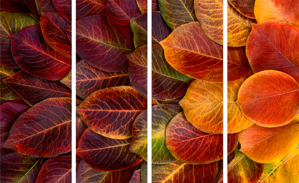 Autumn Leaves 4 Pieces Mega Glass Wall Art (59"x36")