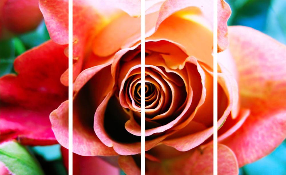 Rose 4 Pieces Mega Glass Wall Art (59"x36")