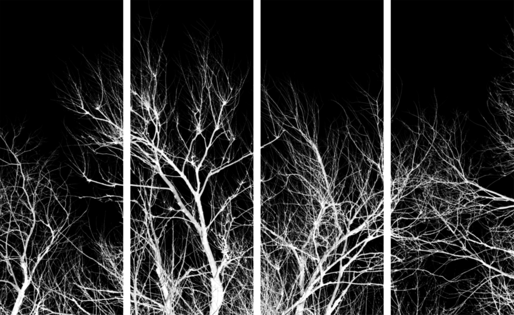 Night Trees 4 Pieces Mega Glass Wall Art (59"x36")