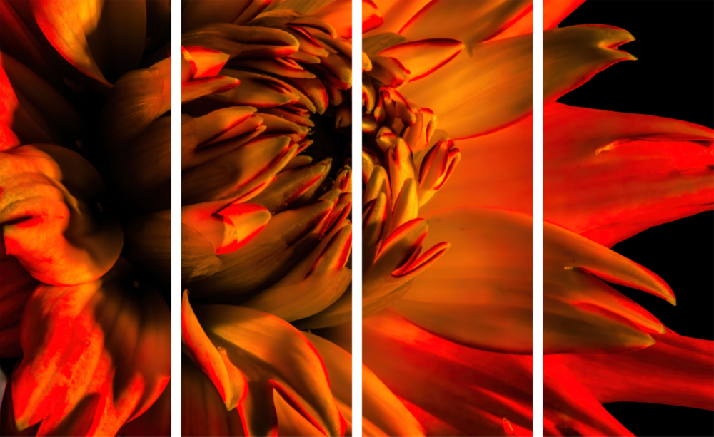 Gerbera Daisy 4 Pieces Mega Glass Wall Art (59"x36")