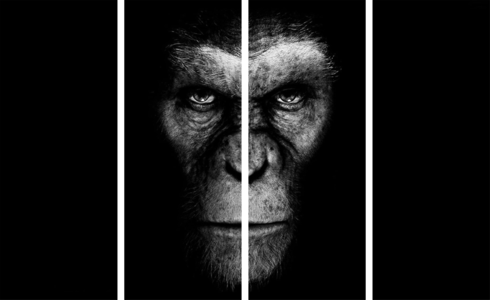 Rise of Apes 4 Pieces Mega Glass Wall Art (59"x36")