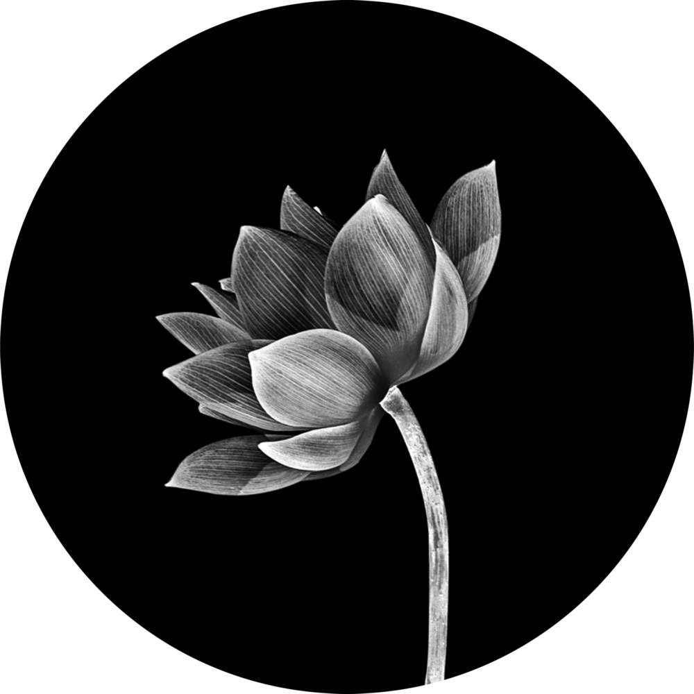Flower Glass Wall Art