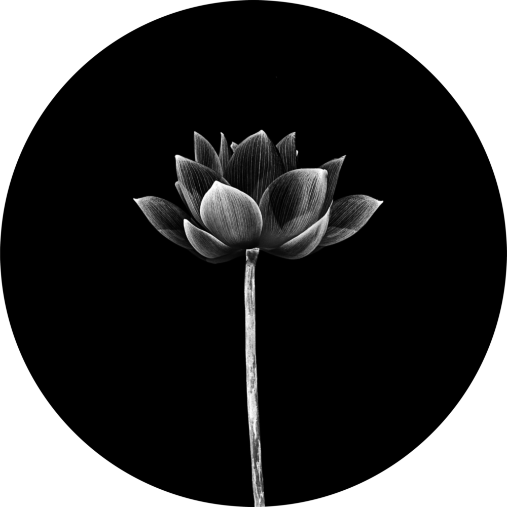 Flower Glass Wall Art