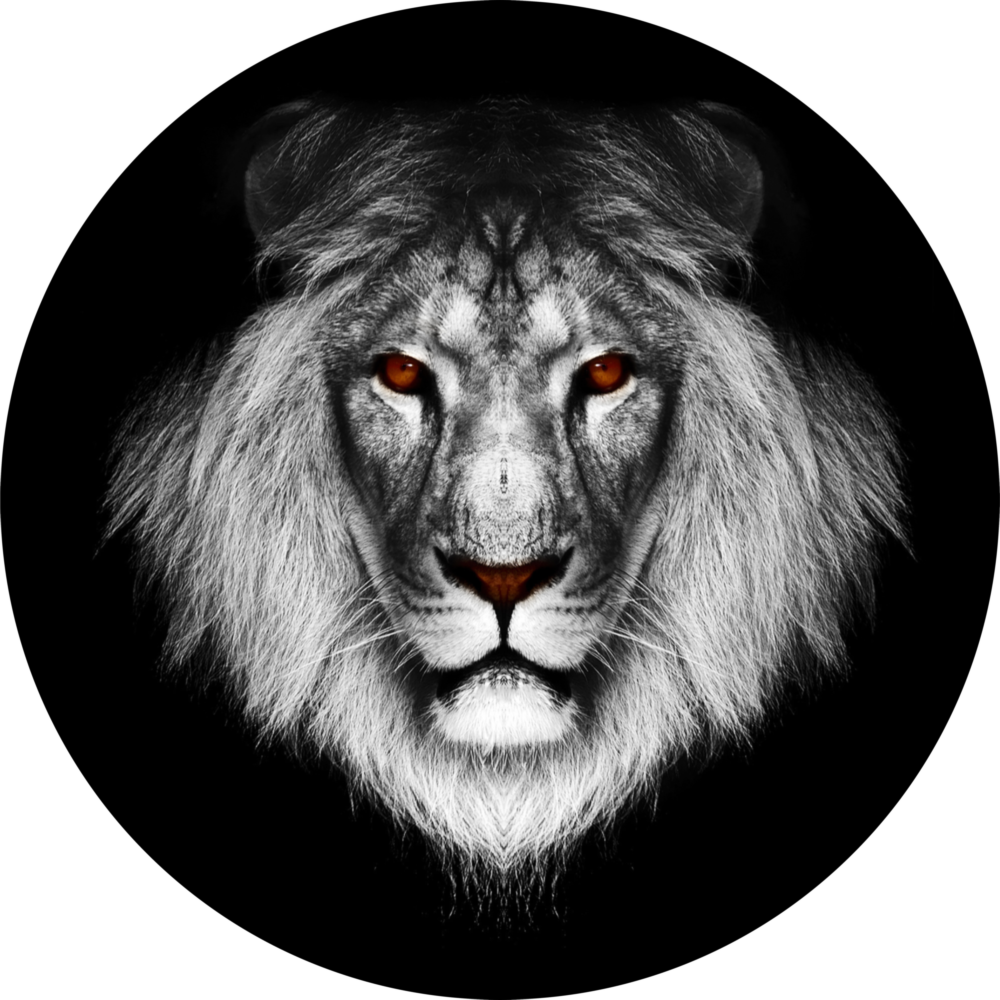 Lion Glass Wall Art