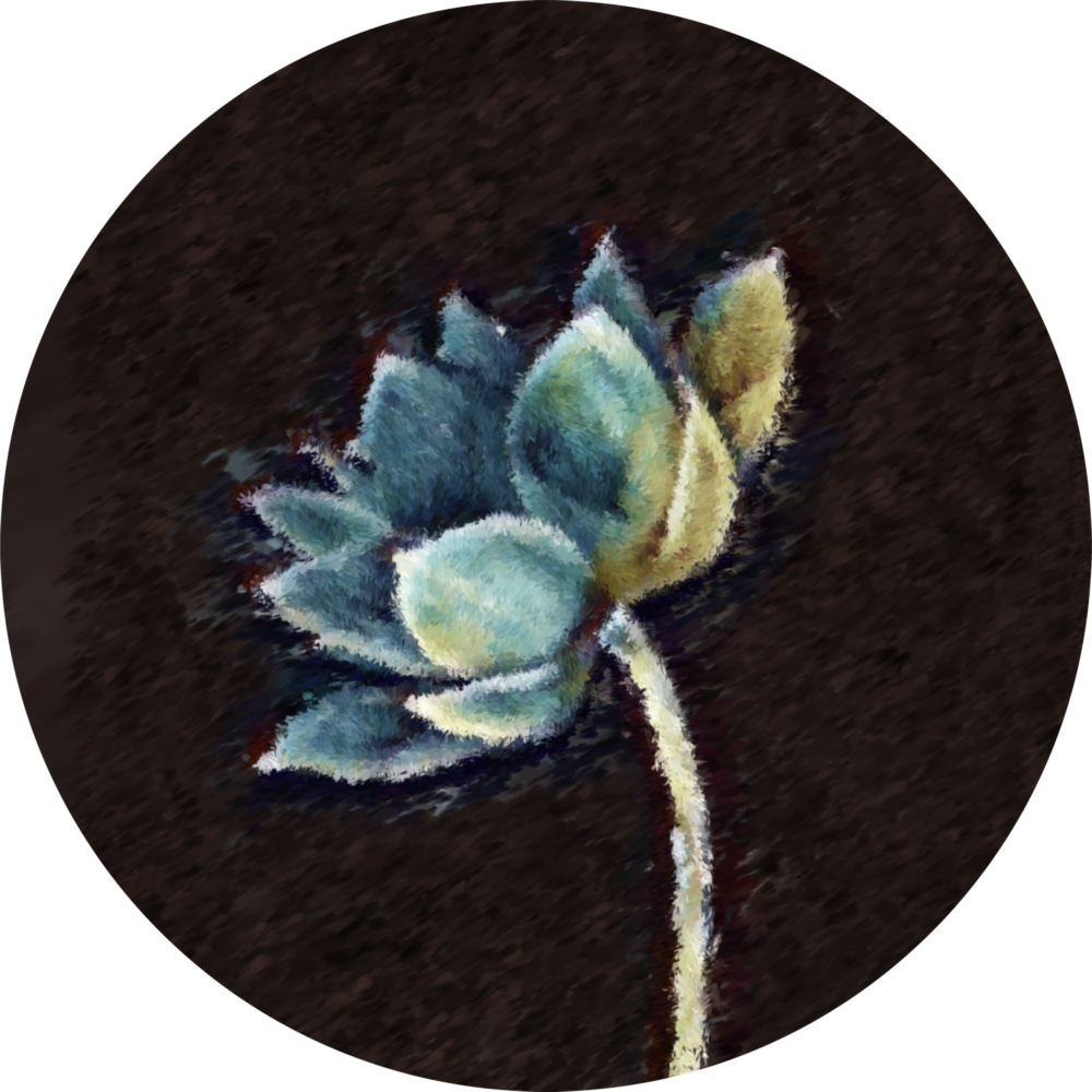Flower Glass Wall Art