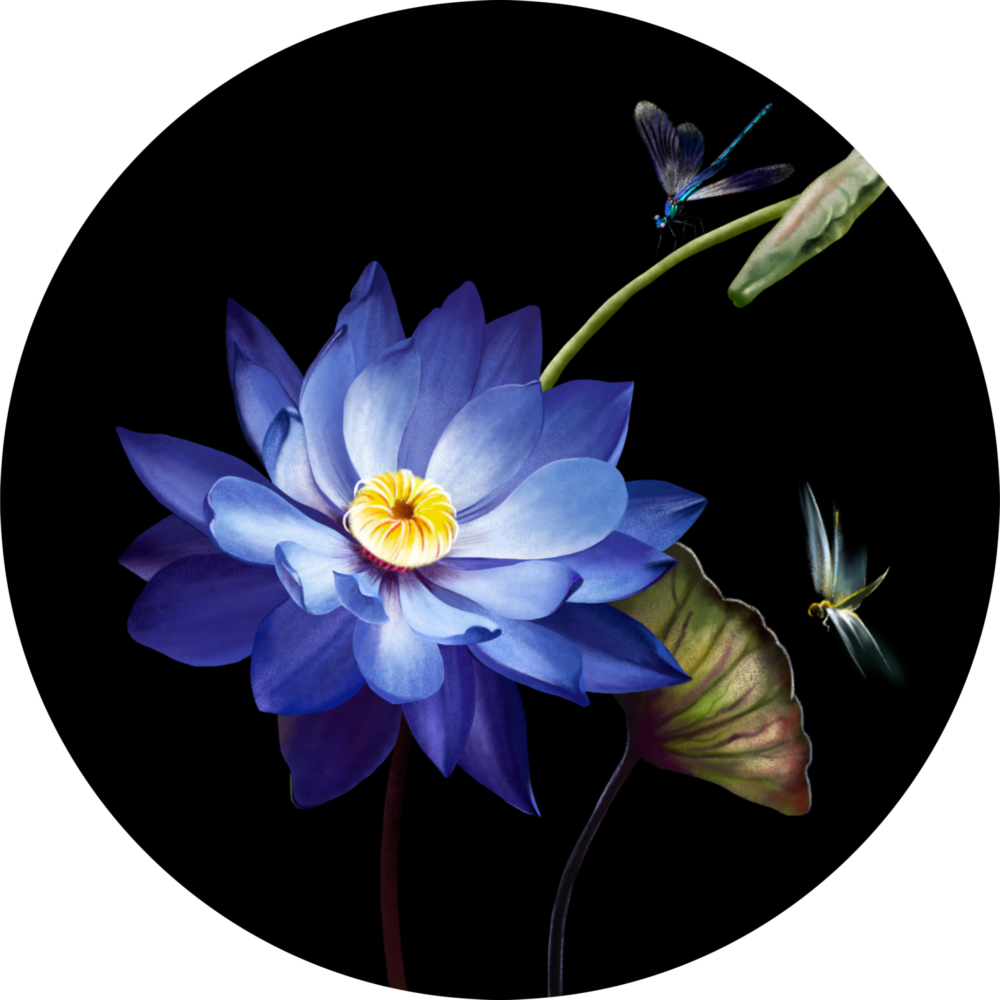 Flower Glass Wall Art
