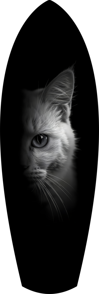 White Cat Half Face Black Background Glass Wall Art