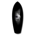 White Cat Half Face Black Background Glass Wall Art.