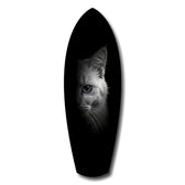 White Cat Half Face Black Background Glass Wall Art.