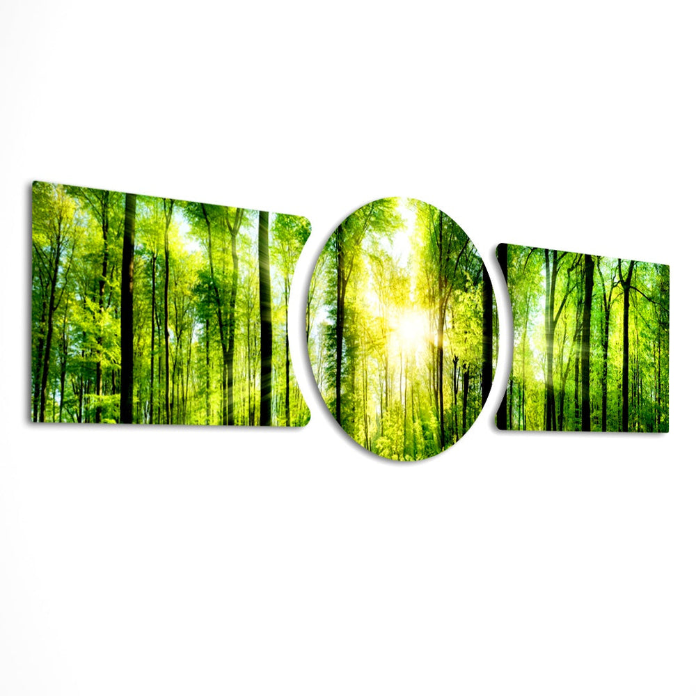 Sunbeams streaming through a fresh green forest canopy of tall slender trees. 3 piece glass wall art set E