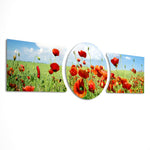 A field of bright red poppies in bloom under a blue sky scattered with soft clouds. 3 piece glass wall art set D
