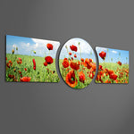 A field of bright red poppies in bloom under a blue sky scattered with soft clouds. 3 piece glass wall art set E