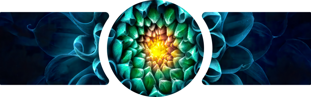 Glowing Teal Dahlia Bloom Macro 3 Piece Glass Wall Art