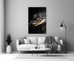 Close-up detail of the alligator and amber eye behind glass