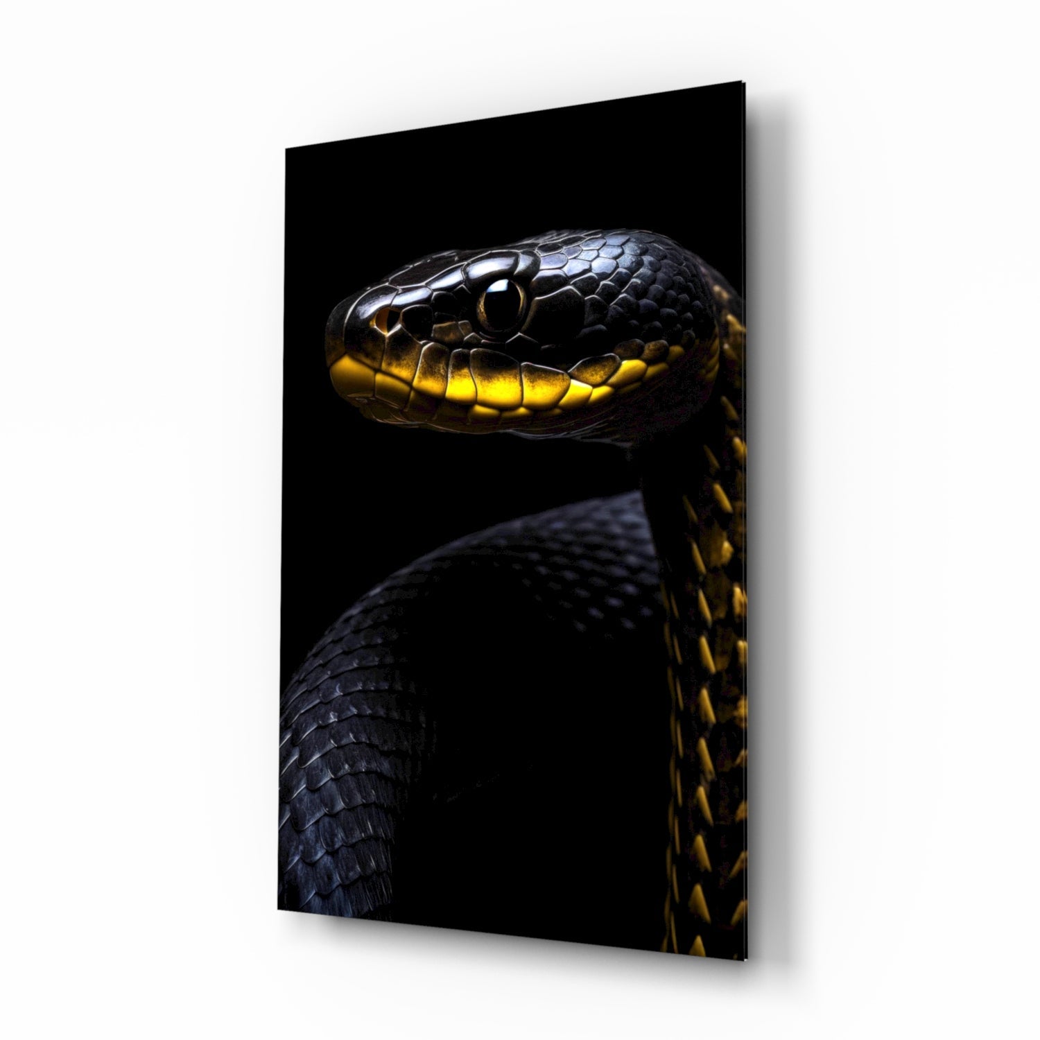 Black and Yellow Viper Glass Wall Art || Designer Collection